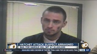 Man accused in hatchet attack on Spring Valley store clerk charged with attempted murder, mayhem