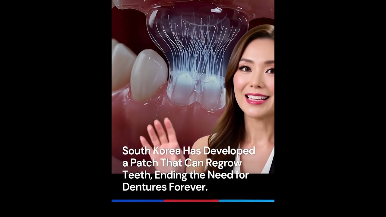 Patch that regrow teeth 
