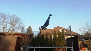 Tramp sesh