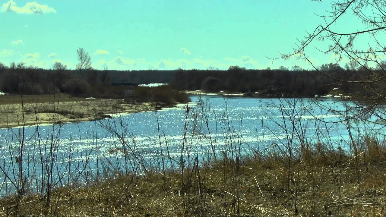 Вода в реке сура. Река Сура рыбалка. Сура в Коржевке.