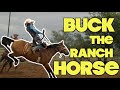 WE BUCK THE RANCH PONY- Rodeo Time 262