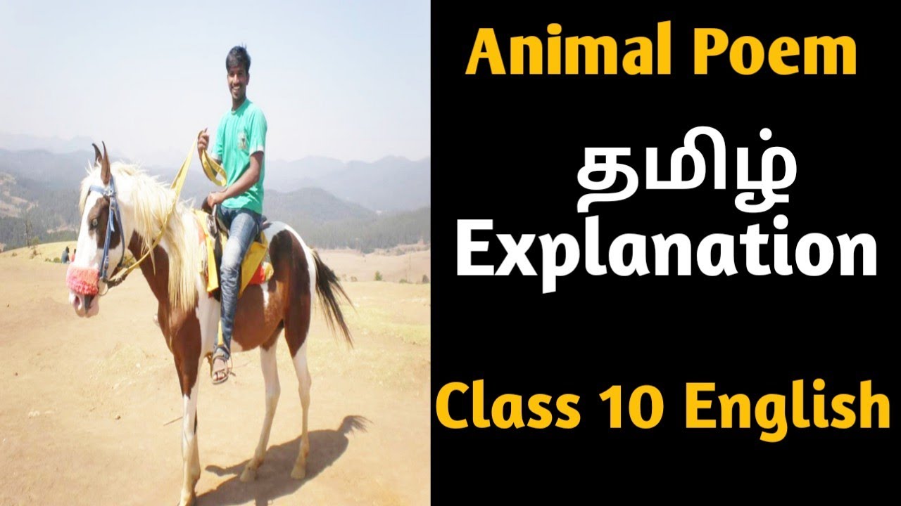 my favourite animal essay in tamil