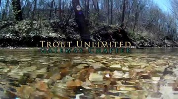 GTU Stream Monitoring