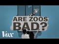 Concerns and Conservation in Zoos