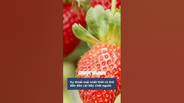 Bài học cuộc sống: Chuột sa hũ gạo và cái giá của sự lười biếng