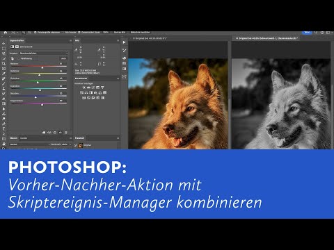 Photoshop: Die automatische Vorher-Nachher-Ansicht