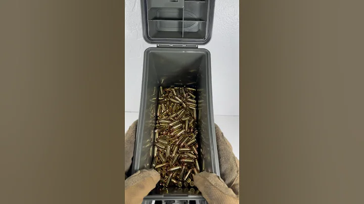 Range Ammo ASMR 9mm bullet storage. This case i what I take to range #9mm #viral #gun #asmr #shorts