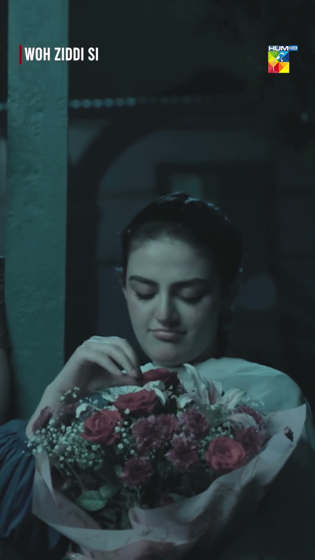 Zain Ambreen Ko Bhola Na Saka..! #ainaasif #aliabbas #wohziddisi #humtv