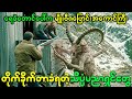 ရေခဲတောင်ပေါ်ကထူးဆန်းတဲ့မျိုးဗီဇပြောင်းအကောင်ကြီးတိုက်ခိုက်တာခံရတဲ့ သိပ္ပံပညာရှင်တွေ