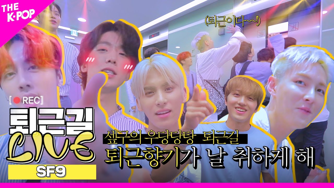 [퇴근길 LIVE] 셒구의 우당탕탕 퇴근길, 퇴근 향기가 날 춤추게 해