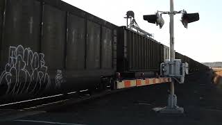 EB Empty Coal Wagons At Irby On The BNSF Columbia River Subdivision - DSCN0219