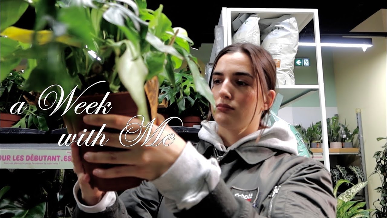 VLOG 008 : j'achete des plantes et je relook ma salle de bain :p