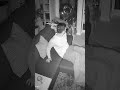Cat parade 😹 #aicats #catmemes #cats #compilation #funnycats #funnyvideos #viral