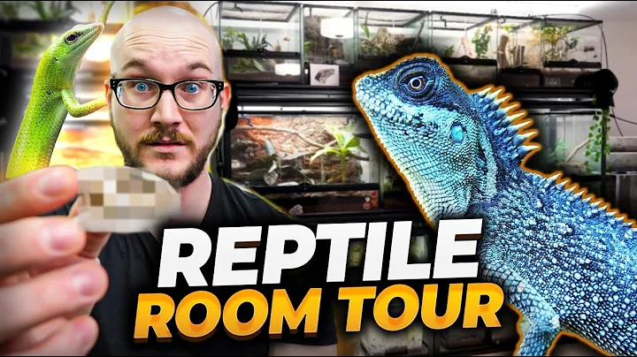 INSANE Reptile Room Tour! New Species Revealed!