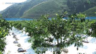 比例式液肥混入器　ドサトロン2013