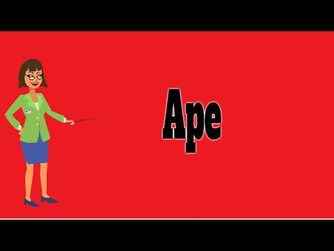 Video: Nintendo Menjadi Ape Over DK Slang