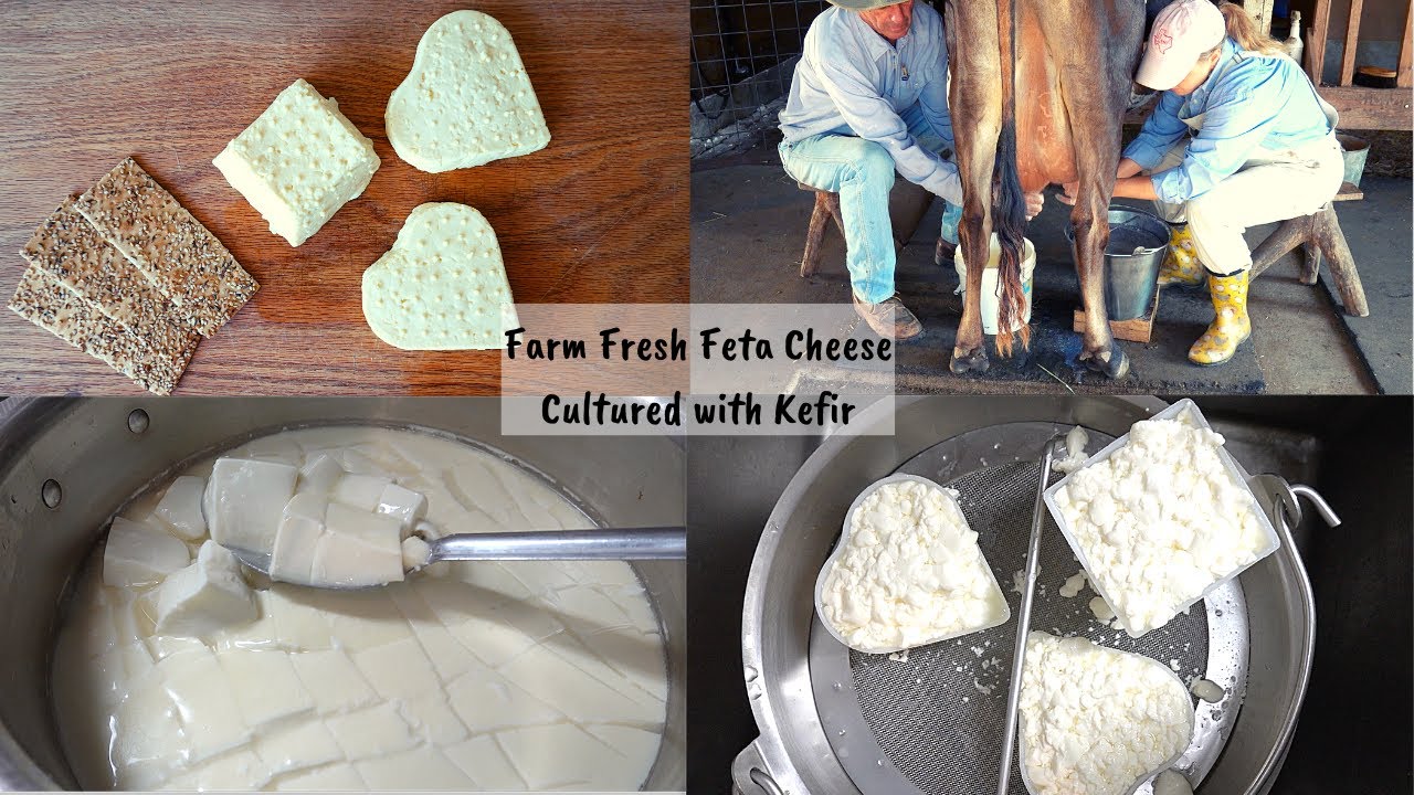 FARM FRESH FETA CHEESE CULTURED WITH KEFIR | MADE WITH FARM FRESH RAW MILK