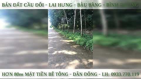 Bán đất Cầu Đôi, Lai Hưng, Bàu Bàng gần chợ Bến Cát giá rẻ - Bán đất cao su bàu bàng giá rẻ