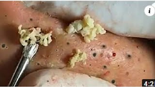 Año nuevo chino   vacaciones de belleza Mara 1497