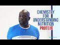 Protein: Chemistry for Understanding Nutrition by Milton Mills, MD