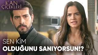 İlk Görüşte Nefret Kan Çiçekleri