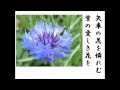 詩吟 「矢車の花」 峰 章山