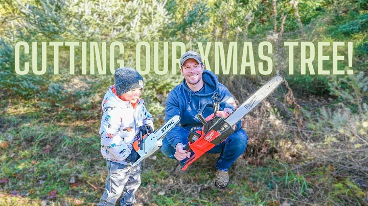 Cutting Down our 2022 Christmas tree with chainsaws