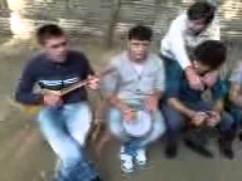 ბინდი ჩამოწვა არხოტის თავზე