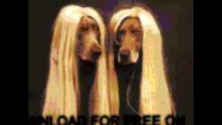 nelson - (You Got Me) All Shook Up - Because They Can