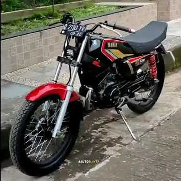 Rx king nih bos senggol dong