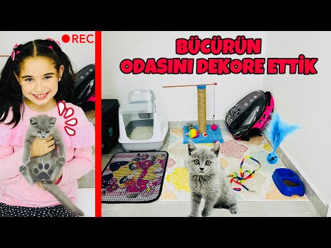 KEDİMİZ BÜCÜRE ODA YAPTIK !! YENİ EŞYALARINI YERLEŞTİRDİK !! BÜCÜRE ODA DEKORASYONU !!