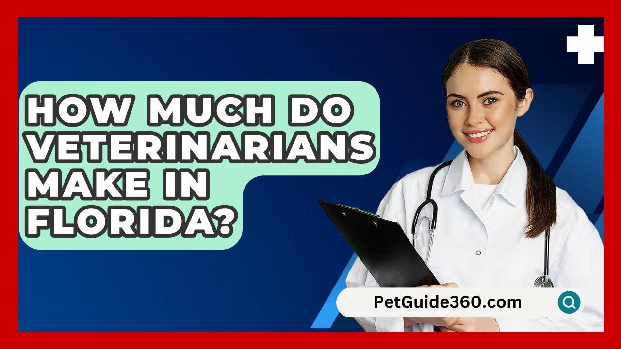 How Much Do Veterinarians Make In Florida? - PetGuide360.com