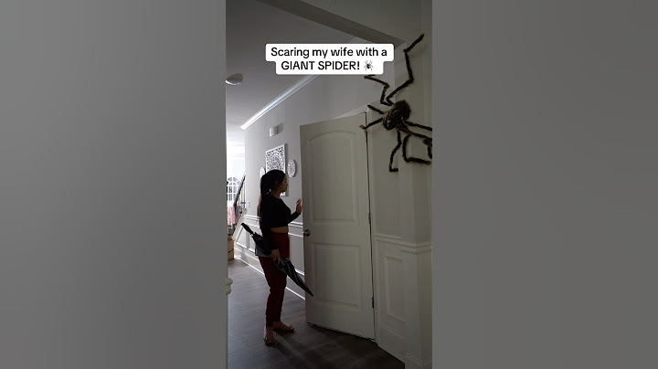 SCARING MY WIFE WITH A GIANT SPIDER 😳