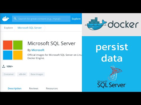 การ run Microsoft SQL Server ด้วย docker พร้อมการ persist data ด้วย docker volume