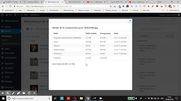 WordPress : visualiser les gains obtenus sur chaque image optimisée via Compress JPEG & PNG images