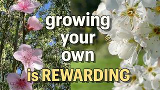 Rewards of Homegrown Plants