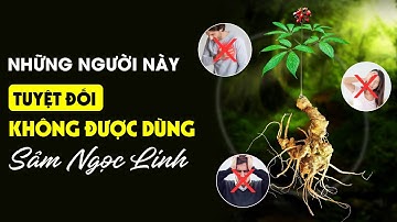 NHỮNG NGƯỜI NÀY TUYỆT ĐỐI KHÔNG ĐƯỢC DÙNG SÂM NGỌC LINH