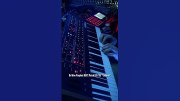 Dr Woe Prophet REV2 Patch U1 P33 “Calypso”