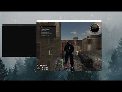 Assaultcube ESP with ImGui