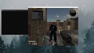 Celebrity Assaultcube ESP with ImGui Net Worth