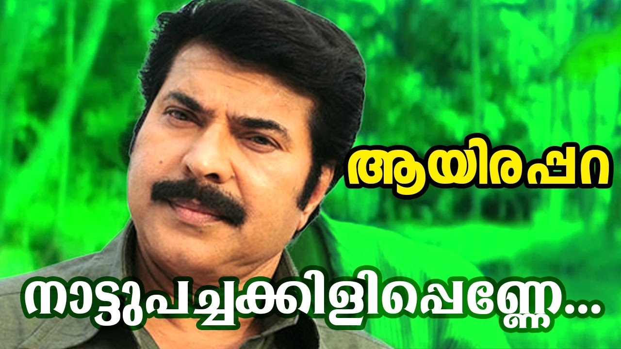 Nattupachakkilippenne   Malayalam Evergreen Movie  Aayirappara  Video Song