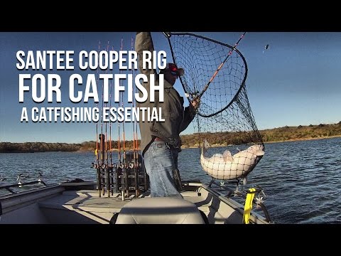 Santee Cooper Rig For Catfish: A Catfishing Essential