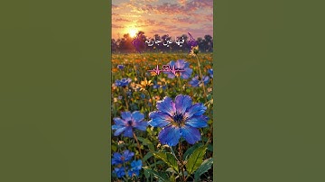 ارح سمعك و قلبك 🤍 قرآن كريم 🤍 اكتب شيئا تؤجر عليه 🤍