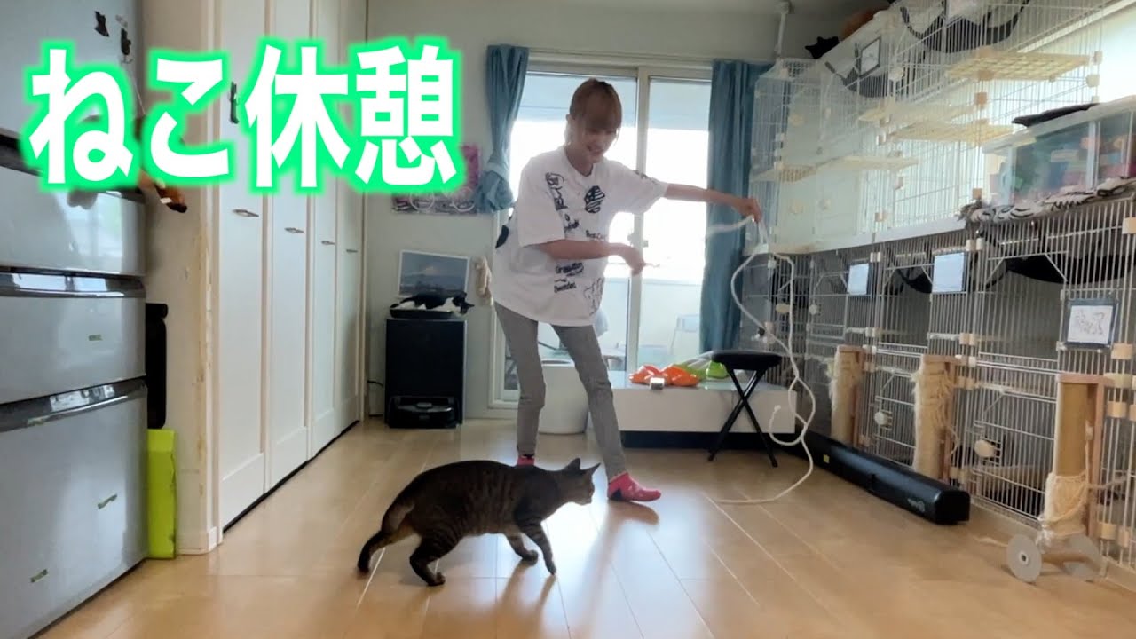 疲れて猫とたわむれるひかみみ！！【ココロマン普段の様子】
