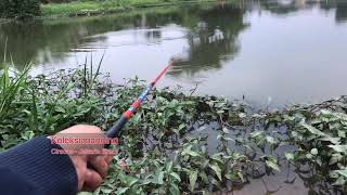 Mancing di daerah ciracas jakarta timur screenshot 5