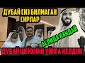 ДАХШАТ АСЛИДА ДУБАЙ ҚАЙ ХОЛАТДА БЎЛГАН. СУЛХ ТУЗИЛИШИ ВА ХОЗИРГИ КУН