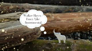 Walker Hayes - Fancy Like (Instrumental)