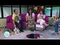 Encuentran a su mascota tras estar desaparecida por tres años | Viva La Tarde | WapaTV