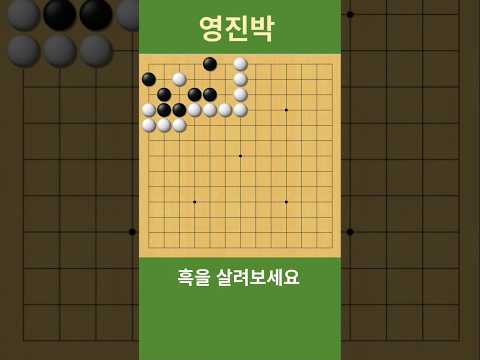 (수순이 틀리면 바로 잡히게 됩니다) 패가 나지 않게 흑을 살려보세요 #바둑 #사활 #묘수