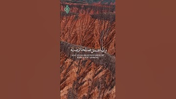 الآية 18و 19 من سورة النمل للقارئ بلال دربالي  #اكسبلور